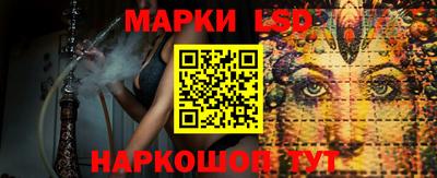 мяу мяу мука Аргун