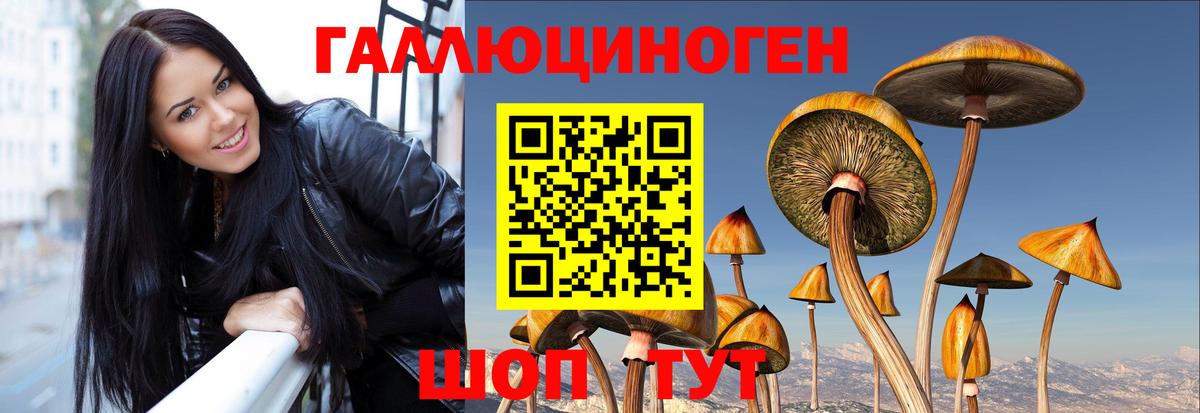 Балахна  Галлюциногенные грибы Psilocybine cubensis  Вход с VPN 